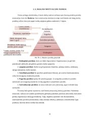 Darbuotojų motyvavimas - svarba bei reikšmė organizacijoje 9 puslapis