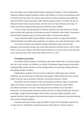 Krepšininkų fizinės charakteristikos 4 puslapis