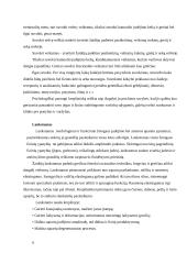 Krepšininkų fizinės charakteristikos 5 puslapis