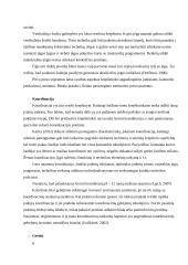 Krepšininkų fizinės charakteristikos 7 puslapis