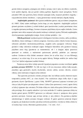 Darbuotojų mokymas ir atestavimas. Gaisrų gesinimo priemonės ir būdai 7 puslapis