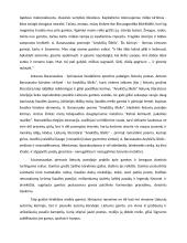 Žmogus ir gamta Antano Baranausko "Anykščių Šilelyje" 2 puslapis