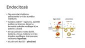 Plazminė membrana ir medžiagų pernaša 11 puslapis
