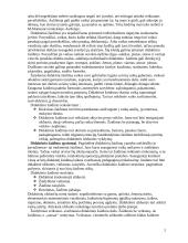 Didaktinių žaidimų panaudojimas pradinėje mokykloje 2 puslapis