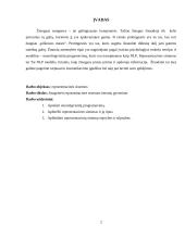 Reprezentacinės sistemos projektinis darbas 2 puslapis