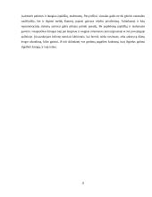 Reprezentacinės sistemos projektinis darbas 11 puslapis