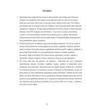 Reprezentacinės sistemos projektinis darbas 12 puslapis