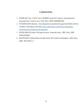 Reprezentacinės sistemos projektinis darbas 13 puslapis