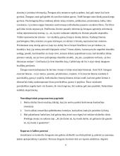 Reprezentacinės sistemos projektinis darbas 4 puslapis