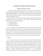 Reprezentacinės sistemos projektinis darbas 7 puslapis