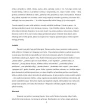 Reprezentacinės sistemos projektinis darbas 8 puslapis