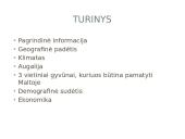 Maltos geografija, klimatas, augalija, gyvūnija, demografija bei ekonomika 2 puslapis