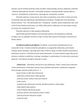 Dokumentų valdymas - personalo vadyba 11 puslapis