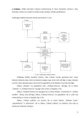 Duomenų bazių uždaviniai 3 puslapis