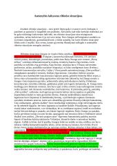 Asmenybės laikysena ribinėse situacijose (Sruoga, Kamiu, Krivickas)