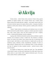 Dviejų pasirinktų firminių stilių lyginamoji analizė: UAB "Biopakas" ir AB "Akvija" 11 puslapis