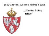 1863-1864 metų sukilimas Lietuvoje 13 puslapis