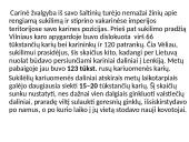 1863-1864 metų sukilimas Lietuvoje 14 puslapis