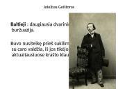 1863-1864 metų sukilimas Lietuvoje 10 puslapis