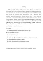 Dviguba pilietybė Lietuvoje