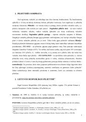 Dviguba pilietybė Lietuvoje 2 puslapis