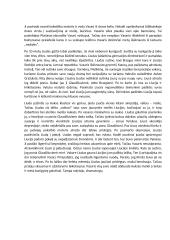 "Altorių šešėly" analizė 2 puslapis