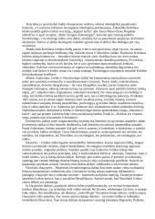 E. Baliutytė "Laiko įkaitė ir partnerė: lietuvių literatūros kritika 1945-2000" 5 puslapis