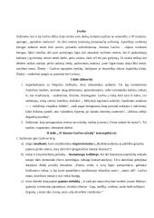 Balta drobulė kontekstas 2 puslapis