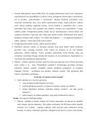 Balta drobulė kontekstas 5 puslapis