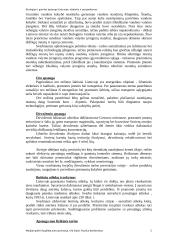 Ekologija ir gamtos apsauga: dabartis ir perspektyvos 2 puslapis