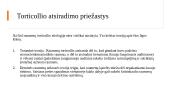 Torticollis (kreivakaklystė) 3 puslapis
