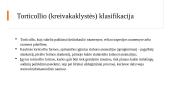 Torticollis (kreivakaklystė) 6 puslapis