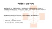 Autizmo sukeliami sunkumai ir gydymas 7 puslapis