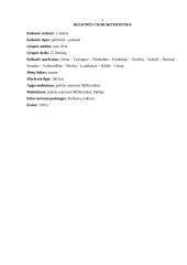 Ekskursijos maršrutas-programa 2 puslapis