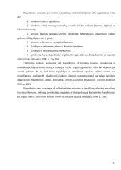 Ekspeditoriaus reikšmė transporto procese 11 puslapis