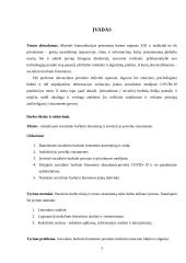 Socialinio burbulo fenomenas 2 puslapis