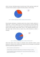 Socialinio burbulo fenomenas 20 puslapis