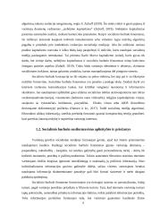 Socialinio burbulo fenomenas 5 puslapis