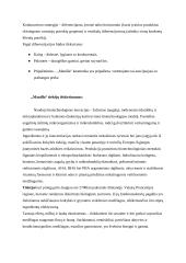 Manilla marketingo analizė 6 puslapis