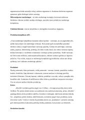 Manilla marketingo analizė 8 puslapis