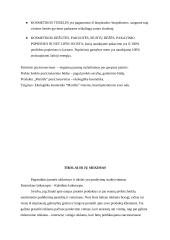 Manilla marketingo analizė 10 puslapis