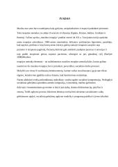 Muzikinis vaikų ugdymas - muzikos terapija  2 puslapis