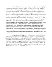 Viduramžių Lietuvos vaizdinys Gedimino ir Vytauto laiškuose 2 puslapis