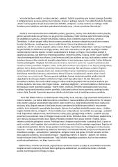 Moters paveikslas literatūroje (pagal Žemaitės "Marti") 2 puslapis