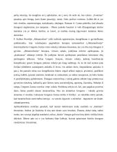 Kitokio žmogaus vaizdavimas literatūroje A. Kamiu „Svetimas“ ir F. Kafka „Metamorfozė“ 2 puslapis