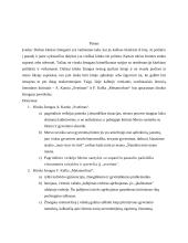 Kitokio žmogaus vaizdavimas literatūroje A. Kamiu „Svetimas“ ir F. Kafka „Metamorfozė“ 3 puslapis