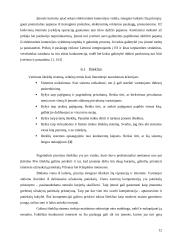 Elektroninis verslo modelis: picerija "Mambopizza" 12 puslapis