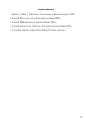 Elektroninis verslo modelis: picerija "Mambopizza" 16 puslapis