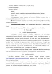 Elektroninis verslo modelis: picerija "Mambopizza" 5 puslapis