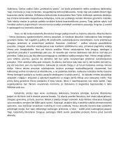Žmogaus pastangos išlikti savimi katastrofų literatūroje 2 puslapis